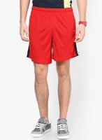 Club York Striped Red Shorts