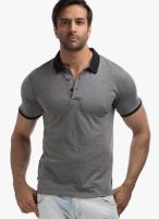Cult Fiction Grey Milange Solid Polo T-Shirts