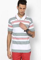 Duke Grey Polo T-Shirt