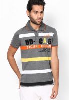 Duke Grey Striped Polo T-Shirts