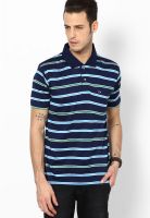 Duke Navy Blue Polo T-Shirt