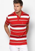 Duke Red Striped Polo T-Shirts