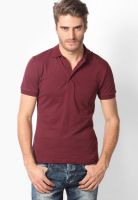 Gas Maroon Solid Polo T-Shirts