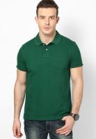 Indian Terrain Green Polo T-Shirt