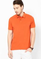 Indian Terrain Orange Solid Polo T-Shirts