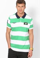 Indigo Nation Green Polo T Shirt