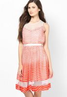 Lara Karen Orange Colored Printed Skater Dress