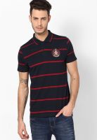 Phosphorus Navy Blue Striped Polo T-Shirts