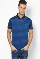 Proline Blue Polo T-Shirt