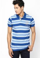 Proline Blue Polo Tshirt