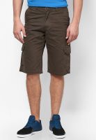 Proline Brown Shorts