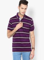 Proline Purple Striped Polo T-Shirts