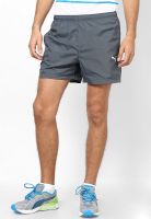 Puma Grey Shorts