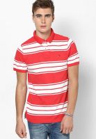 Tommy Hilfiger Scarlet/ Classic Red/White Polo T-Shirt