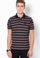 Wrangler Black Solid Polo T-Shirts