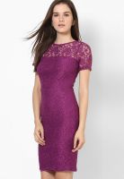 Dorothy Perkins Purple Colored Solid Bodycon Dress