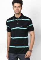 Duke Black Striped Polo T-Shirt