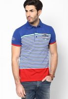 Duke Blue Striped Polo T-Shirt