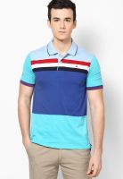 Duke Blue Striped Polo T-Shirts