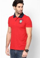 Duke Red Solid Polo T-Shirt