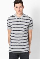 Tommy Hilfiger Grey Half Sleeve Polo T-Shirts