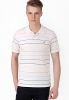 American Crew Off White Striped Polo T-Shirts