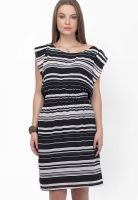 Belle Fille Black Colored Printed Skater Dress