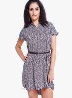 Globus Black Colored Printed Shift Dress