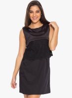 Globus Black Solid Shift Dress