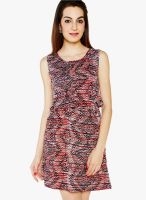 Globus Multicoloured Printed Shift Dress