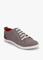 Knotty Derby Neville Sneaker Grey Loafers