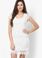 Only White Short Sleeve Lace Dress