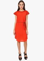 Rena Love Orange Colored Solid Shift Dress