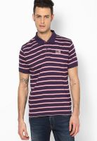 Wrangler Purple Striped Polo T-Shirts