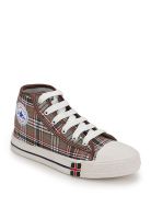 Z Collection Brown Casual Sneakers