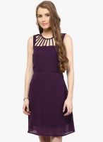 109F Purple Solid Skater Dress