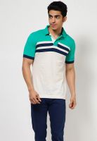 Basics Green Solid Polo T-Shirts