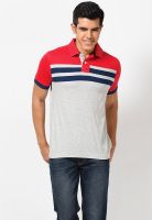Basics Red Solid Polo T-Shirts