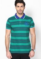 Cherokee Green Polo T-Shirt