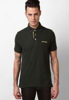 Converse Green Polo T-Shirts