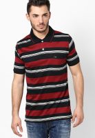 Duke Black Striped Polo T-Shirt