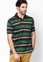 Duke Coffee Striped Polo T-Shirt