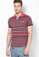 Duke Pink Striped Polo T-Shirts