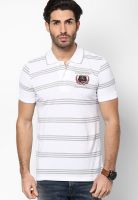 Duke White Striped Polo T-Shirt