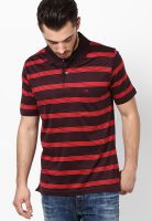 Duke Wine Striped Polo T-Shirt