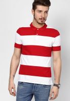 Giordano Red Striped Polo T-Shirt
