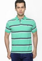 Globus Green Striped Polo T-Shirt