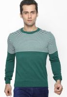 Globus Olive Solid Round Neck T-Shirt