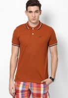 Jack & Jones Brown Solid Polo T-Shirts