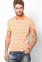 John Players Orange Striped Polo T-Shirts
